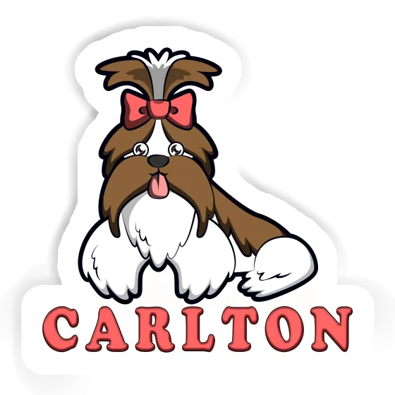 Sticker Shih Tzu Carlton Gift package Image