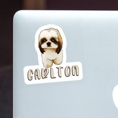 Carlton Sticker Shih Tzu Image