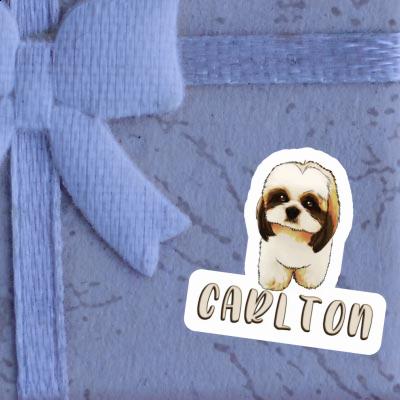 Shih Tzu Sticker Carlton Notebook Image