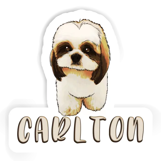 Shih Tzu Sticker Carlton Laptop Image