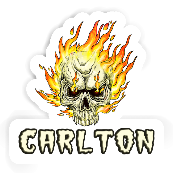 Sticker Carlton Skull Notebook Image