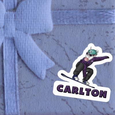 Boarder Sticker Carlton Gift package Image