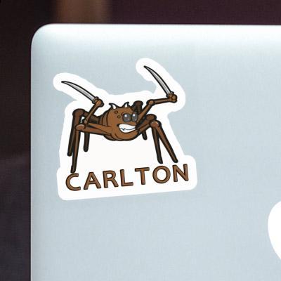 Sticker Fighting Spider Carlton Laptop Image