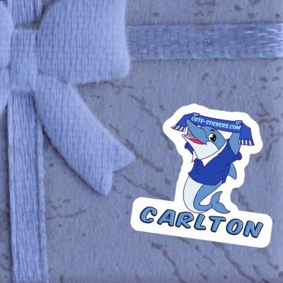 Sticker Carlton Dolphin Laptop Image