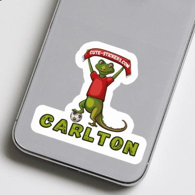 Carlton Aufkleber Eidechse Gift package Image