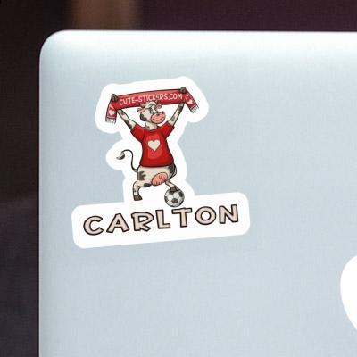 Sticker Carlton Kuh Gift package Image