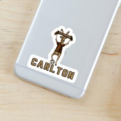 Sticker Carlton Capricorn Gift package Image