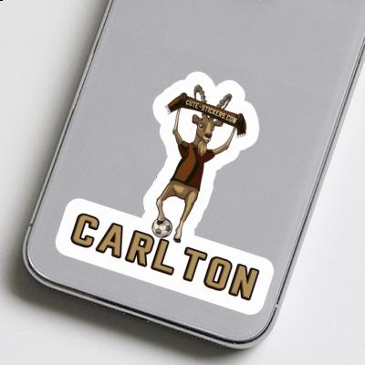 Sticker Carlton Capricorn Gift package Image