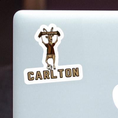 Sticker Carlton Capricorn Laptop Image