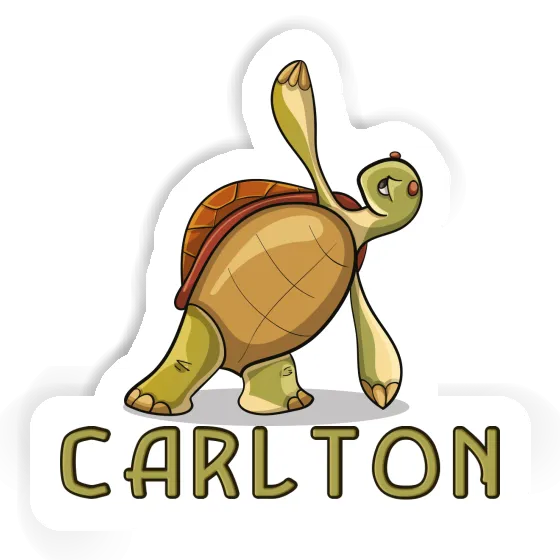 Sticker Turtle Carlton Gift package Image