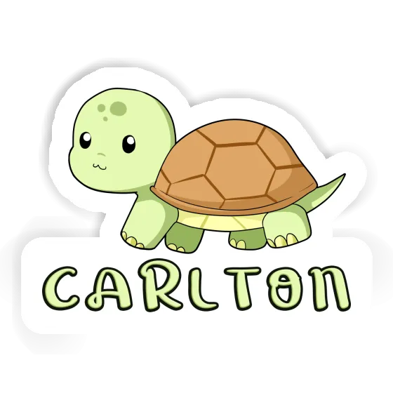 Sticker Carlton Turtle Notebook Image