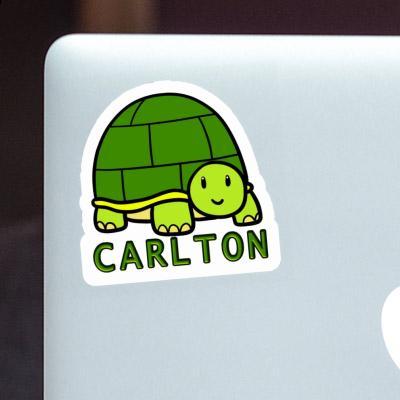 Carlton Sticker Schildkröte Laptop Image