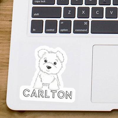 Westie Sticker Carlton Image