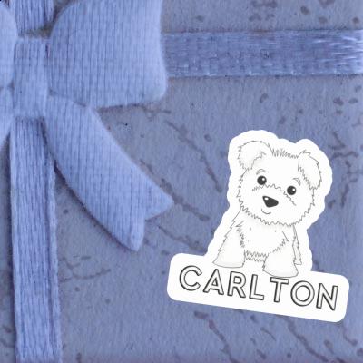 Westie Sticker Carlton Laptop Image