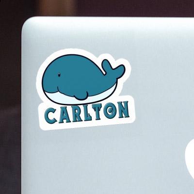 Sticker Whale Carlton Gift package Image