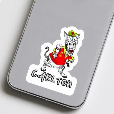 Zebra Sticker Carlton Image