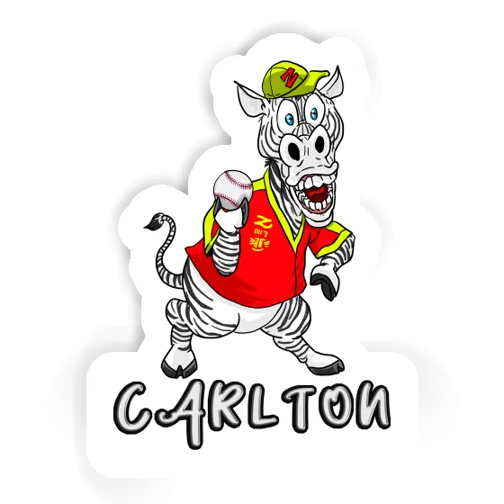 Zebra Sticker Carlton Gift package Image