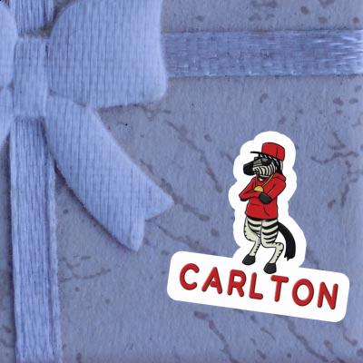 Aufkleber Zebra Carlton Image