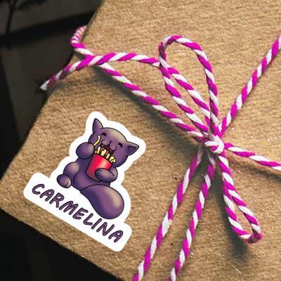 Carmelina Autocollant Chat-frites Notebook Carmelina Autocollant Chat-frites Gift package Image