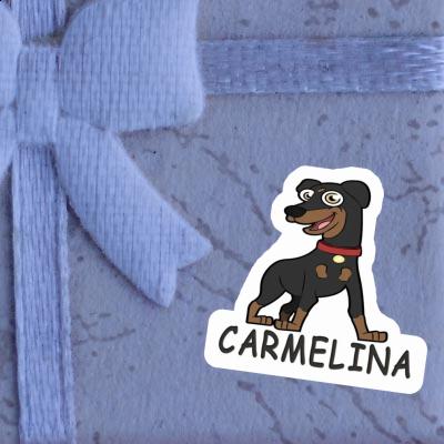 Pinscher Sticker Carmelina Notebook Pinscher Sticker Carmelina Gift package Image