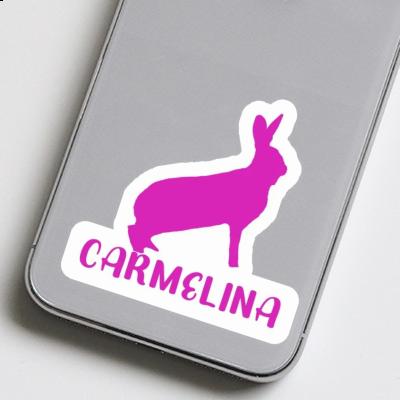 Lapin Autocollant Carmelina Notebook Lapin Autocollant Carmelina Gift package Image