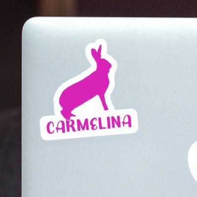 Lapin Autocollant Carmelina Notebook Lapin Autocollant Carmelina Gift package Image