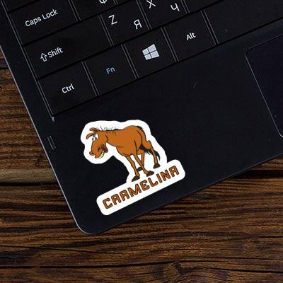 Autocollant Cheval Carmelina Notebook Autocollant Cheval Carmelina Gift package Image