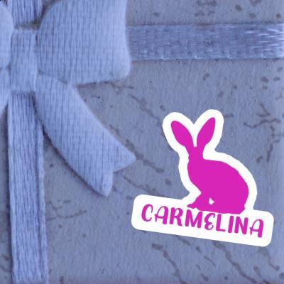 Autocollant Carmelina Lapin Gift package Image