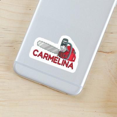 Autocollant Tronçonneuse Carmelina Gift package Image