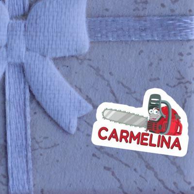 Autocollant Tronçonneuse Carmelina Gift package Image