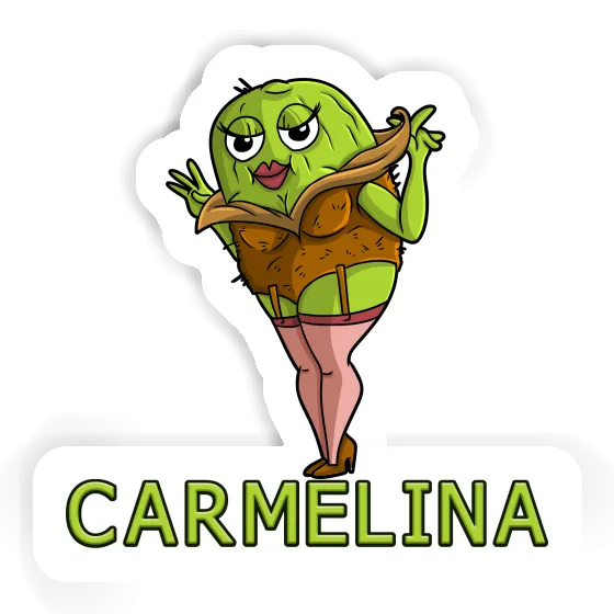 Carmelina Autocollant Kiwi Laptop Carmelina Autocollant Kiwi Laptop Image