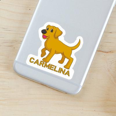 Labrador Autocollant Carmelina Notebook Labrador Autocollant Carmelina Gift package Image