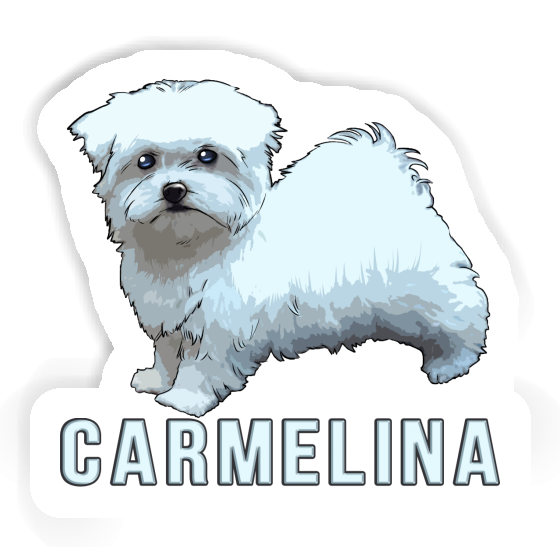 Carmelina Autocollant Bichon maltais Gift package Image