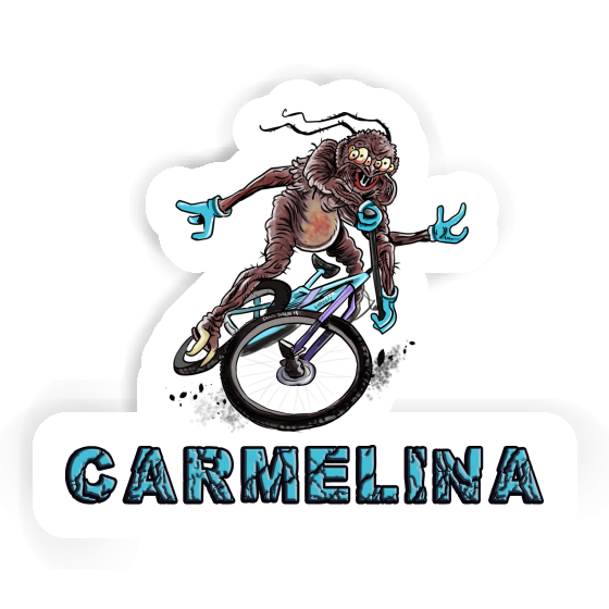 Autocollant Carmelina Vététiste Gift package Image