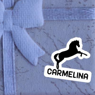 Carmelina Autocollant Cheval Gift package Image