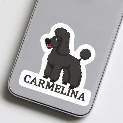 Carmelina Autocollant Caniche Carmelina Autocollant Caniche Image