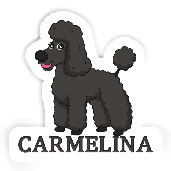 Carmelina Autocollant Caniche Notebook Carmelina Autocollant Caniche Gift package Image