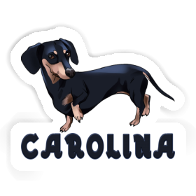 Sticker Dackel Carolina Image