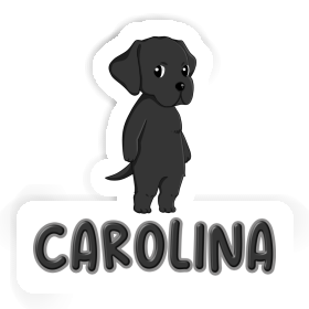 Aufkleber Carolina Labrador Retriever Image