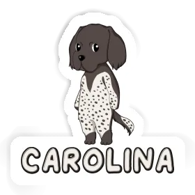 Kleiner Münsterländer Sticker Carolina Image