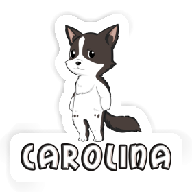 Aufkleber Border Collie Carolina Image