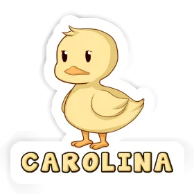 Canard Autocollant Carolina Image