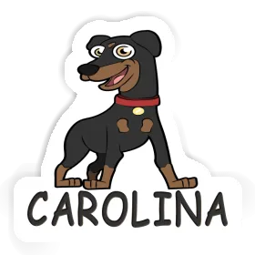 Carolina Sticker Pinscher Image