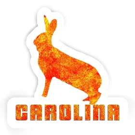 Autocollant Carolina Lapin Image
