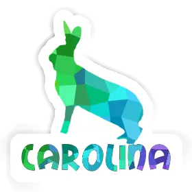 Autocollant Carolina Lapin Image