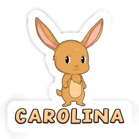 Carolina Autocollant Lapin Image