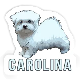 Carolina Sticker Malteserhund Image
