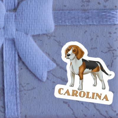 Sticker Carolina Beagle Hund Gift package Image