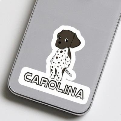Autocollant Carolina Braque Allemand Gift package Image