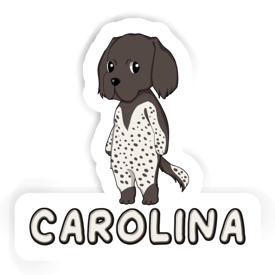 Kleiner Münsterländer Sticker Carolina Kleiner Münsterländer Sticker Carolina Image